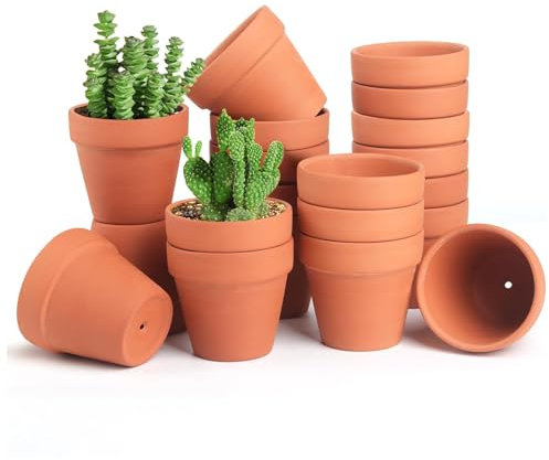 YALiya 20 Stück Terrakotta Topf Mini, Tonpflanztöpfe 3,5 x 3 cm, Blumentöpfe zum Bemalen, Runder Anzuchttöpfe, Mit Abflussloch, für Draußen und Drinnen, für Mama Geschenk Geburtstag