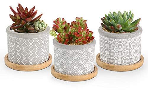 T4U 6CM Cement Succulent Pots with Bamboo Tray 3-Set, Concrete Cactus Pots Small Cacti Planter Grey Gardening Plant Pot Container for Home and Office Decoration Birthday Wedding