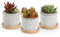 T4U 6CM Cement Succulent Pots with Bamboo Tray 3-Set, Concrete Cactus Pots Small Cacti Planter Grey Gardening Plant Pot Container for Home and Office Decoration Birthday Wedding