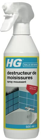 HG spray moussant destructeur de moisissures