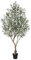 Verinatural Olivo Artificial Planta Artificial Grande 180 CM - UV Resistente 1638 Hojas Realistas Ramas Ajustables y 84 Frutas Árbol Artificial Interior Exterior - Hogar Salón Terraza para Decorativas