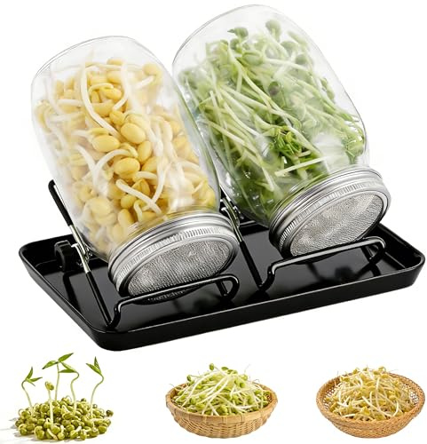 Kit de 2 tarros de germer 1000 ml - vidrio grueso + tapas inoxidable 304 para semillas germinadas caseras, sanas y cero residuos