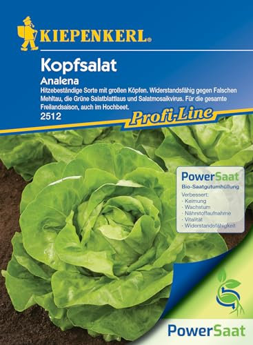 Kiepenkerl Profi-Line Kopfsalat Analena PowerSaat - Winterhartes Garten Saatgut für Große, Frischgrüne, Widerstandsfähige Salat-Köpfe – Langlebiges Gemüse Wintergemüse, Anbausicher Wintersalat