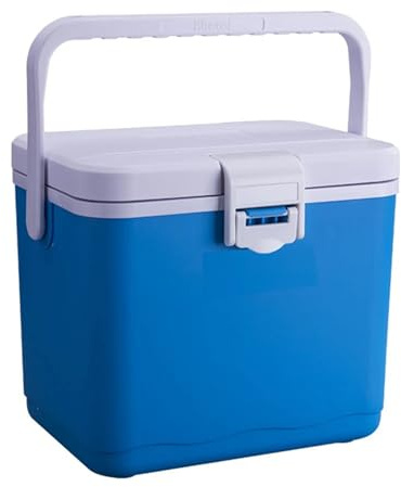 4.5L Insulated Portable Cooler with Handle – Picnic Ice Bucket for Camping, Tailgating & Barbecue(Blue)