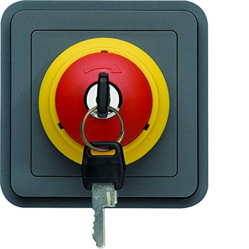 Paro de emergencia con llave, gris