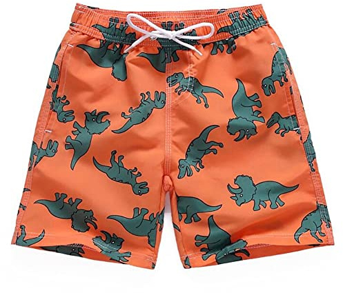 FedMois Pantaloncini da Spiaggia Bambino Ragazzo Costume da Bagno Asciugatura Rapida, Dinosauri, 5-6 Anni