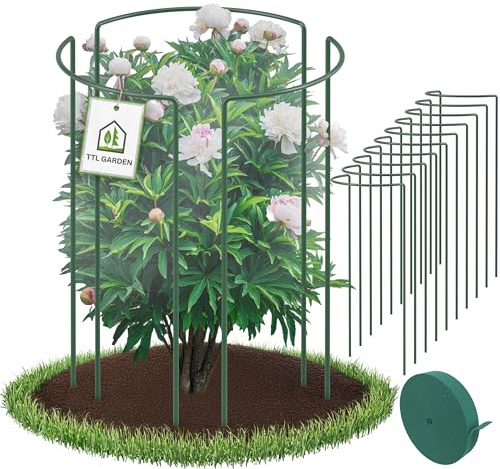 TTL GARDEN Supporti per arbusti 70cm x 40cm Confezione da 10 + Nastro adesivo - Supporti per arbusti in acciaio inossidabile rivestiti in plastica - Supporti per piante, supporti per piante perenni