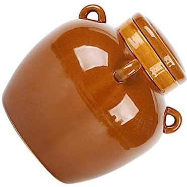 PRETYZOOM 1 Pc Bote de pepinillos botes cocina almacenaje botes almacenaje cocina contenedor de fermentación de vegetales tarro de albañil para decapado soporte de cerámica para alimentos