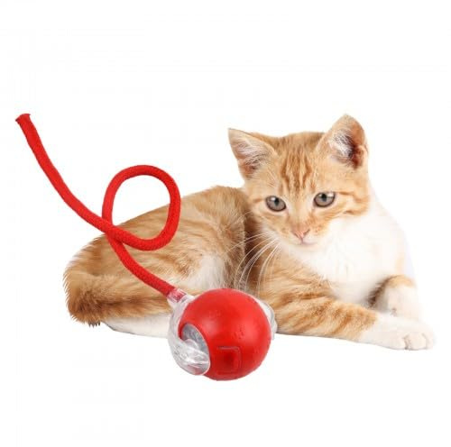 Litinliv Jouet Chat Interactif,Jouets Chats Automatique,Jouet Chat Qui Bouge,Balle Intelligente à Mâcher, Stimule l'instinct de Chasse avec Queue de Rechange,Rechargeable, Simuler Les Appels d’Oiseaux