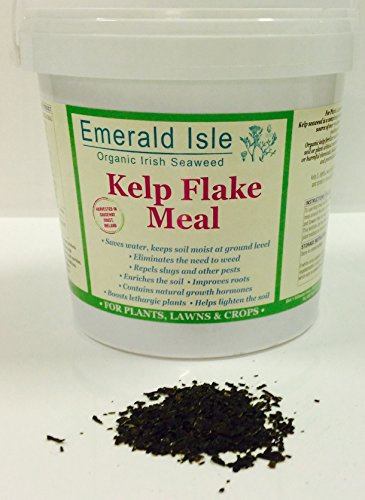 Seaweed Meal Kelp Fertiliser for Gardens, Flowers, Lawns, Shrubs (1.5kg)