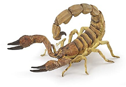 Papo - Figura Scorpione - Animale Selvaggio Realistico per Bambini dai 3 Anni - Dipinta a Mano - Plastica Resistente - Collezione La Vita Selvaggia - Figura Educativa Insetto Velenoso - 50209