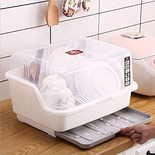 Tomorotec Medium Size Dish Drying Rack and Drain Board with Lid Cover, 16 x 12.2 x 10.6 Nursing Bottle Holder, Kitchen Plate Cup Tray Cutlery Drainer