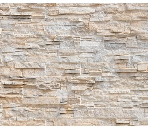 decomonkey Fototapete Steinwand Stein 350x256 cm XL Design Tapete Fototapeten Tapeten Wandtapete moderne Wand Schlafzimmer Wohnzimmer Steintapete Stein Mauer Steinoptik 3D