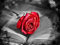 Goofong Diamond Painting Rote Rose für Erwachsene - DIY 5D Diamant Malerei Art Bücher Kit mit Vollbohrer, Strasssteine, Kreuzstich, Mosaik Gemälde - Home Wand Dekor - 30x40cm