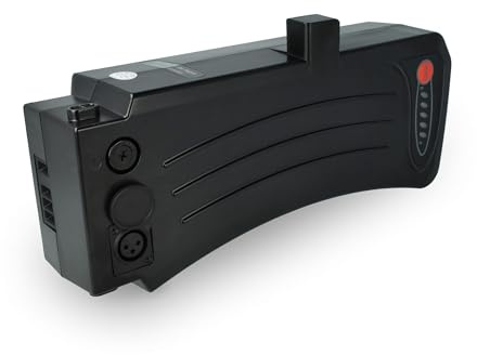 EXTENSILO Batteri kompatibelt med Prophete Alu-City Comfort, Alu-City Comfort7 elcykel (11,6 Ah, 24 V, Li-Ion)