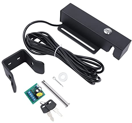 Serratura Elettrica per Porta, Sistema di Chiusura Automatica per Porta, Compatibile con Dc/ac12-24v, Serratura di Sicurezza per Porta Girevole, Controllo Accessi Antivento E Impermeabile
