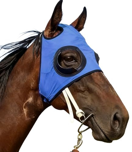 Cappuccio Protettivo Per Gli Occhi Del Cavallo: Paraocchi In Rete Traspirante, Maschera Per Cavallo Con Flusso D'aria, Garanzia Di Trasporto Calmo | Protezione Per Gli Occhi Equini Per Allenamento Sta