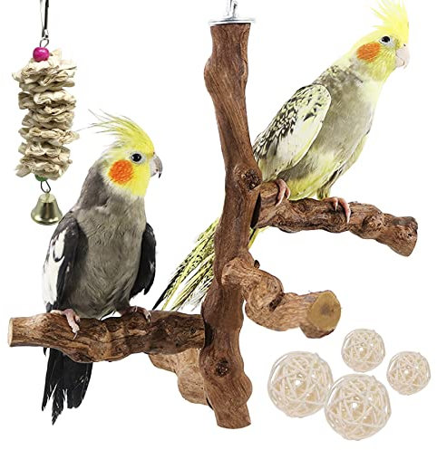 Allazone 6 Stück Sitzstangen Vögel, Vogel Kauspielzeug, Natur für Natürlicher Traubenstab Vogelsitzstange aus Naturholz Vögel Spielzeug, Holzfarbe