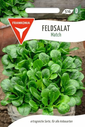 FRANKONIA Mâche, Match - Graines de légumes Semences Graines de salade (Valerianella locusta)