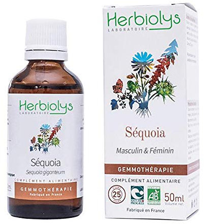 Herbiolys | Macérat de bourgeons Bio | Sequoia (Sequoia gigantea) | Masculin & Féminin | Gemmothérapie Bio | 50 ml