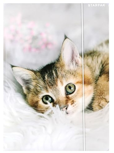 KÄTZCHEN STARPAK LAMINIERT Sammelmappe mit Gummizug für Mädchen A4 (Kätzchen A)