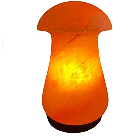 SudoreWell® Salzarena Lampe en cristal de sel Champignon (Mushroom) de la gamme Salt Pakistan