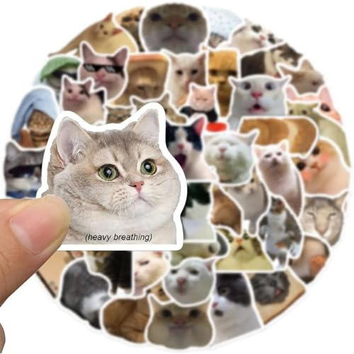 50 Stück Meme Stickers Katzensticker, Aufkleber, Cute Katzen Sticker, Fotoalbum Sticker, Stickers Aesthetic Lustig Katze Merch, Funny Stuff mit Cats für Trinkflaschen, Laptops, Handys, Scrapbook