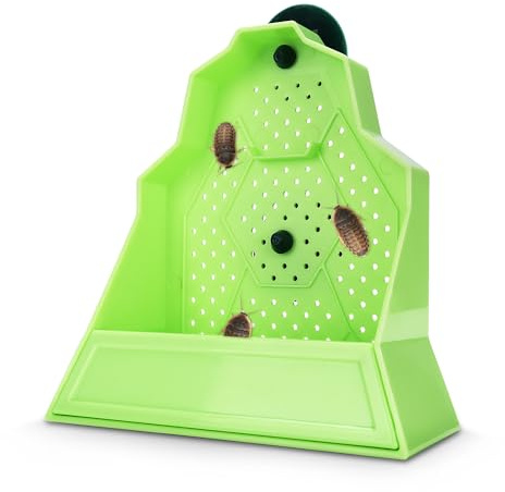 Eckpo Reptile Anti-Escape Feeding Bowl, Wall-Mounted Feeder for Reptile, Stimulate Hunting Accessories for Terrarium, Vivarium and Paludarium, Suitable for Lizard, Gecko & Frog, Small