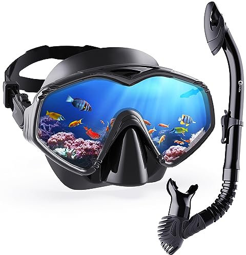 Dorlle Schnorchelset Erwachsene mit Premium Dry Schnorchel und Gehärtetes Glas Taucherbrille, 180° Panorama & Anti-Fog & Anti-Leck schnorchelmaske für Schnorcheln und Schwimmen mit Tragetasche