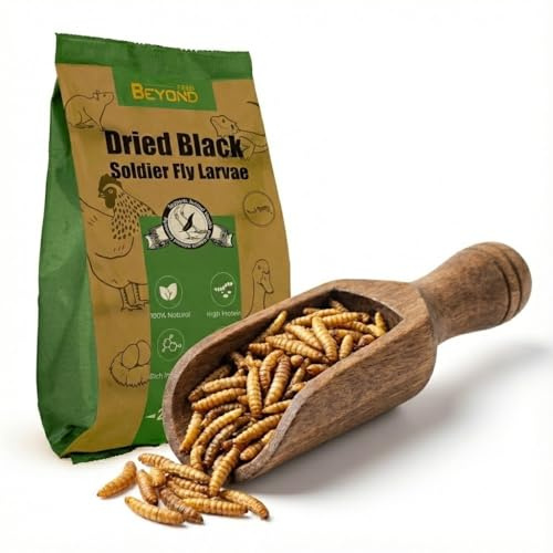 BeyondFeed™ Premium Dried Black Soldier Fly Larvae - High Calcium Supplement for Stronger Eggshells & Molting Recovery - Whole, Large Grubs (Superior to Mealworms) for Chickens, Ducks & Reptiles