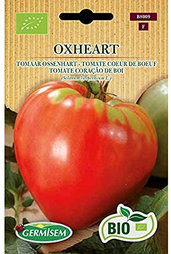 Germisem Bio Graines Tomate Cœur de Bœuf OXHEART
