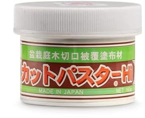 Pasta Mastice Cicatrizzante Cut Paster (Coperchio BIANCO), Ideale per Conifere, Permette la Cicatrizzazione da Tagli, Evita Muffe e Necrosi del Legno, Accessorio per Bonsai, 160 gr