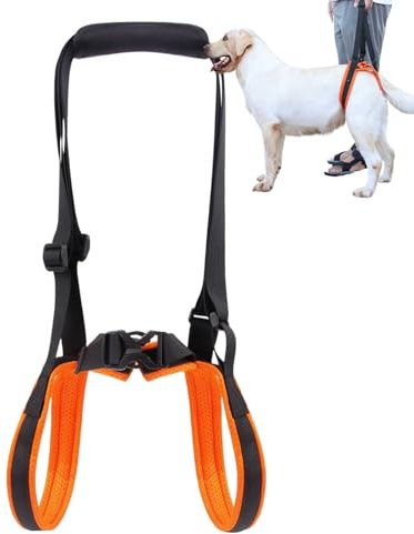 Harnais de Levage pour Chien, Sangles de Transport réglables, Aide au Levage des Jambes pour Chiens âgés - pour Les Grands et Petits Chiens blessés handicapés, escaliers, Promenade Quotidienne, Soins