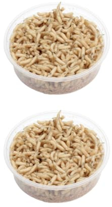 Lot de 2 petites boîtes d'appâts de pêche réfrigérés pour asticots de pêche d'environ 125 ml avec pack réfrigérant