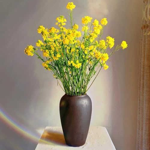 semillas de mostaza amarilla orgánica - Decoración, balcón jardín resistentes 420pcs