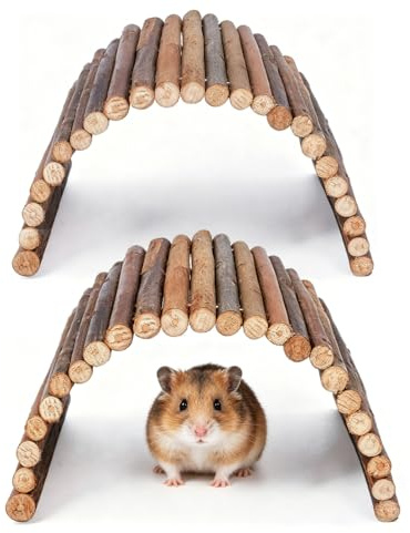 JIRVEX Lot de 2 ponts en bois de saule pour hamster 10 * 20 cm - Jouet pour hamster - Accessoire lapin et rongeurs en bois pour cochons d'Inde, lapins, rats, tortues