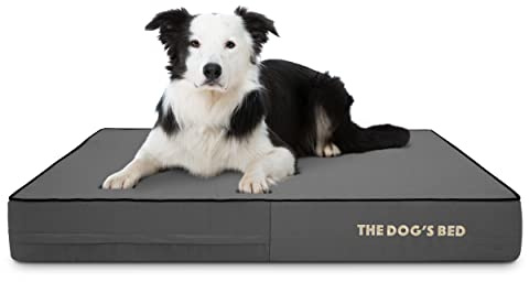 The Dog’s Bed Orthopaedic Memory Foam Dog Bed for Large Dogs, Waterproof Washable Cover, Anti-Slip Base, Calming Surface – CertiPUR-Certified Foam, Grey Oxford with Black Trim, 15cm Thick