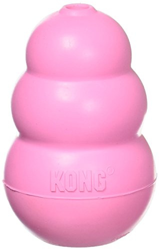 KONG KP2