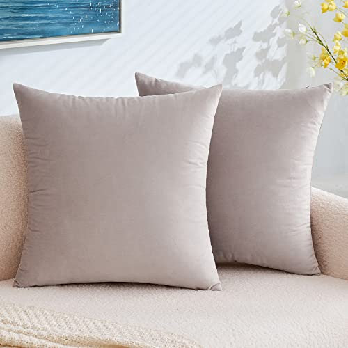 EMEMA Samt Kissenbezug Kissenhülle Dekorative Dekokissen Sofakissen Lendenkissen Wurfkissenbezug mit Verstecktem Reißverschluss Schlafzimmer Sofa 2er Set 50x50 cm Heart Wood