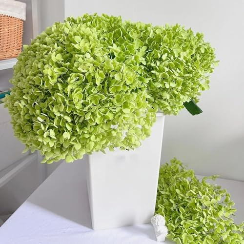 800 piezas semillas hortensias - semillas de jardin de en resistentes, trepadoras resistentes,