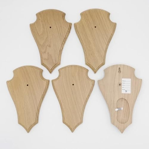 REH - 5 cartelli per trofei AF 21 x 13 cm, punta grande, in rovere chiaro, con 1 scomparto in pino