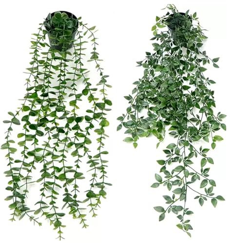 Pangogogo Künstliche Hängepflanzen mit Töpfen | 80cm Efeuranken, 56cm Eukalyptusblätter, 2 Stück | Hängepflanze Künstlich Deko für Tisch, Hochzeit, Zuhause, Fotoshootings