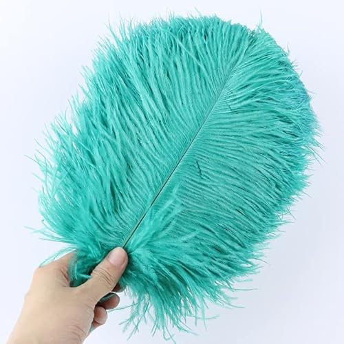 5–30 cm schwarze natürliche Straußenfedern, 10 Stück, Kleidung, Nähzubehör, Hochzeit, Party, Szene, Dekoration, Heimdekoration, 54,25–30 cm