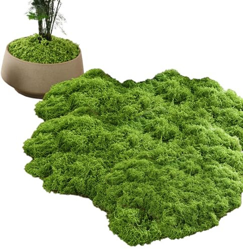 MXHBSTP Fake Moss 100 g, Artificial Moss Decorative Moss for Easter Decoration Light Green Fake Moss Faux Moss Fake Green Lichen Plants for Lawn Green Plant Aquarium Landscaping
