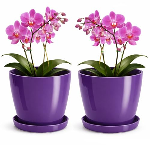 PECZEKO maceta brillante, maceta de plástico, maceta decorativa para plantas grandes y pequeñas, juego de 2 macetas con bases Maceta/maceta para hierbas, color ciruela, Ø 18 cm