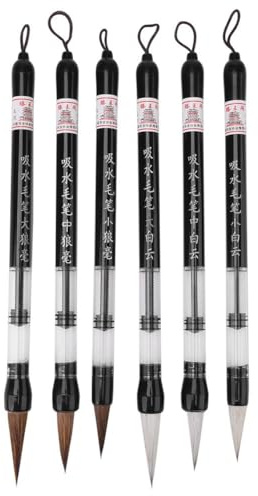 Fafeicy Lot de 6 Stylos Pinceaux à Eau, Pour Calligraphie Chinoise Japonaise et Chinoise Pour S'entraîner à La Calligraphie Sur Un Chiffon