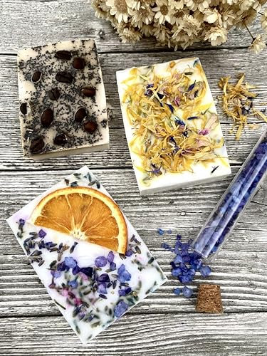 Dinala Seife selber machen - kreative Seife herstellen - Seifen selber machen Set Erwachsene - handgemachte Seife entwickeln und verschenken