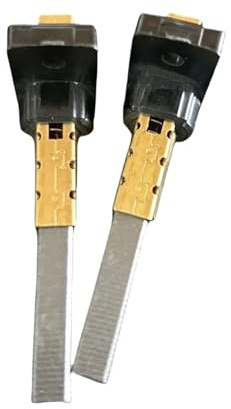 bdfndjnm Motor De Repuesto for Aspiradora 2 Escobillas, Compatible con KARCHER WD3/WD2(WD3)