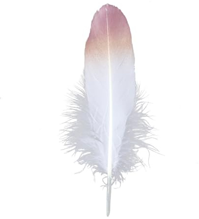 Plumes d'oie à paillettes dorées, 24 pièces, for artisanat, 6-8 pouces, accessoires de bijouterie, Plume naturelle, décoration de fête de mariage(P2)
