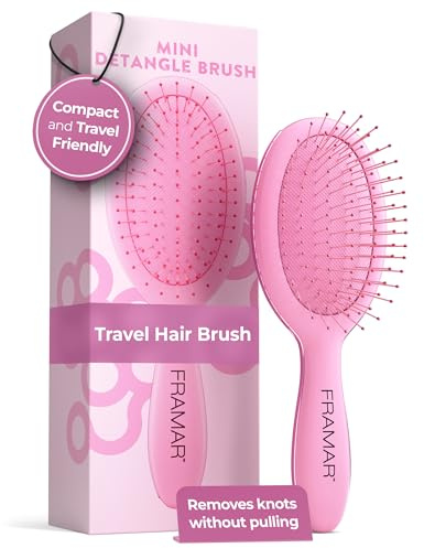 FRAMAR Mini Hair Brush Women – Mini Hairbrush, Small Hair Brush Detangler, Hairbrushes For Women, Travel Brush, Compact For Travel, Reduces Breakage, For All Hair Types – Pink